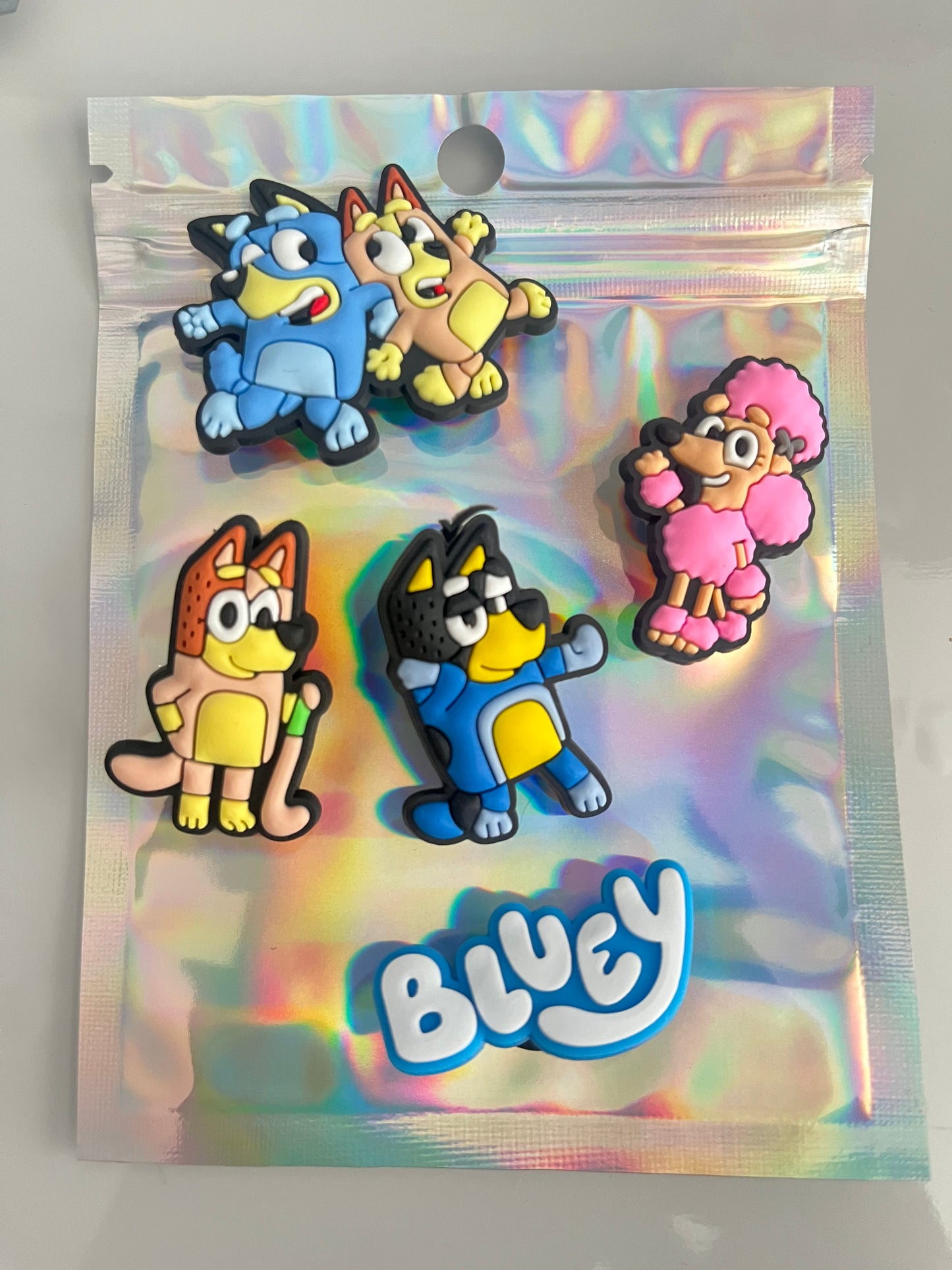 Bluey charm bundle