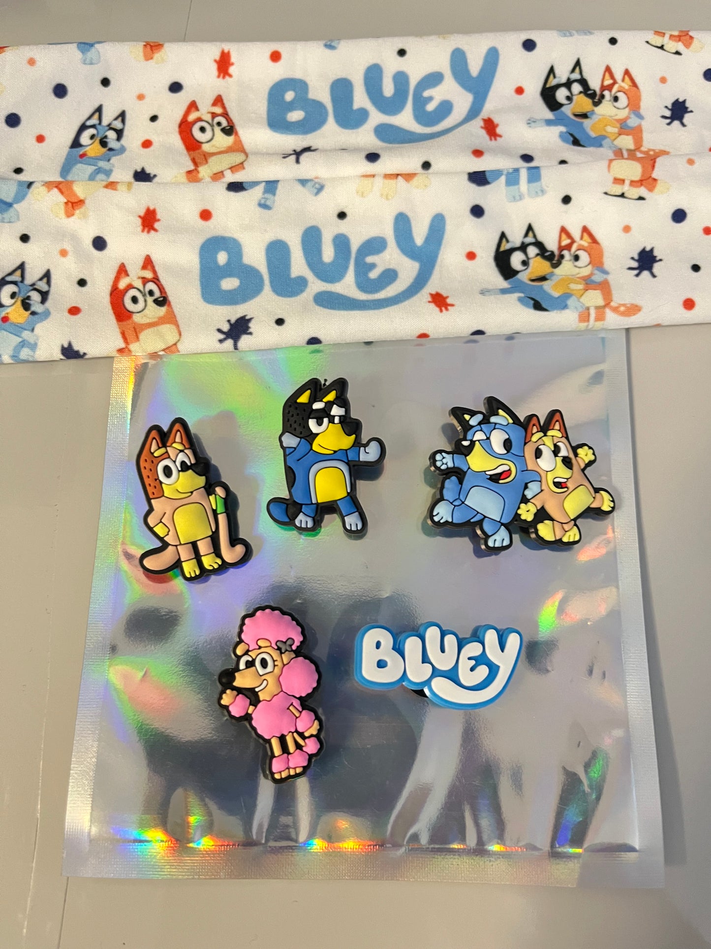 Bluey complete bundle